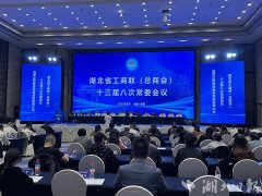 2025湖北平易近营企业100强榜单发布 这些