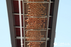 新春走下层丨鸡舍里的机械人“豢养员”